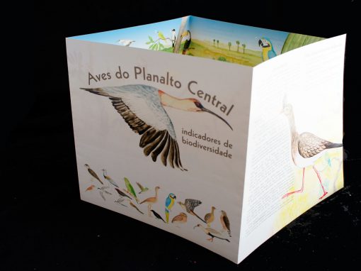 Folder Aves do Cerrado